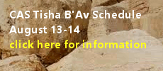 CAS Tisha B'av Schedule